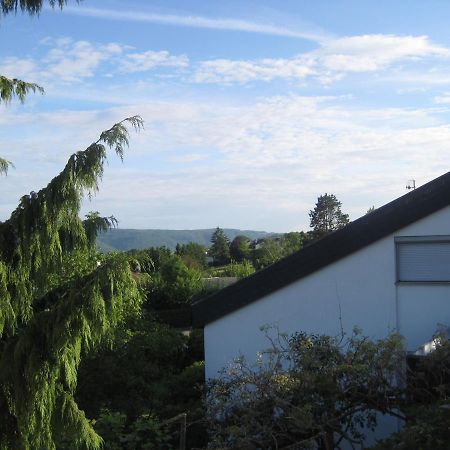 Haus Am Weinberg Apartment Erzingen Exterior foto
