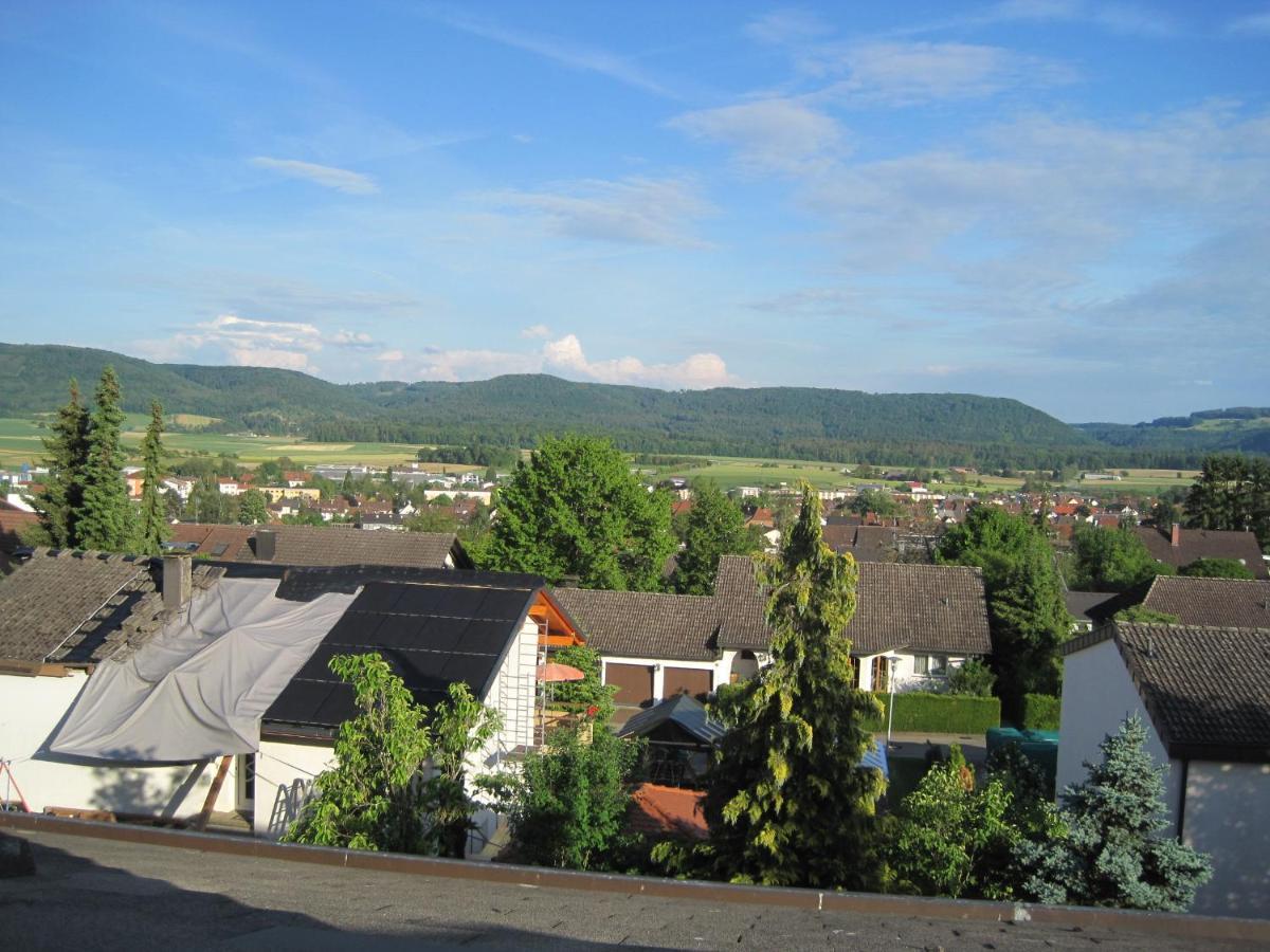 Haus Am Weinberg Apartment Erzingen Exterior foto